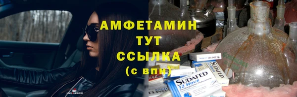 амф Каменка