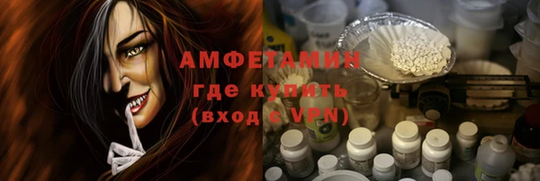 амф Каменка