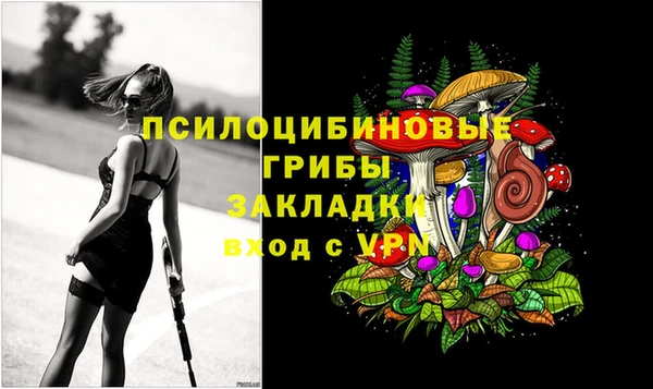 первитин Каменногорск