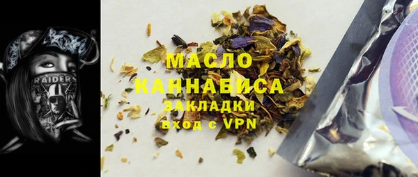 амф Каменка