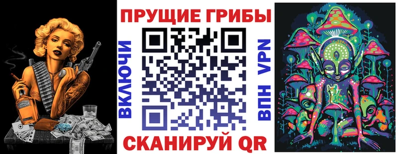 Купить закладки  Дмитров  Псилоцибиновые грибы Magic Shrooms 
