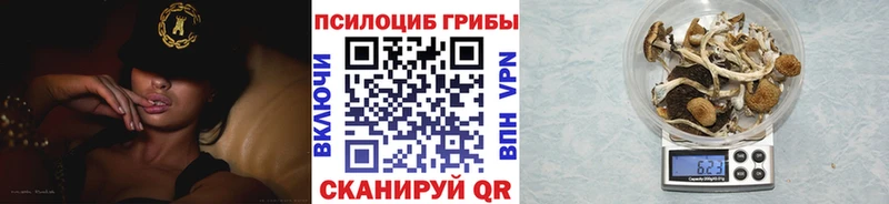 Галлюциногенные грибы мухоморы Дмитров